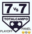 Playoffpanel