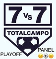 Playoffpanel